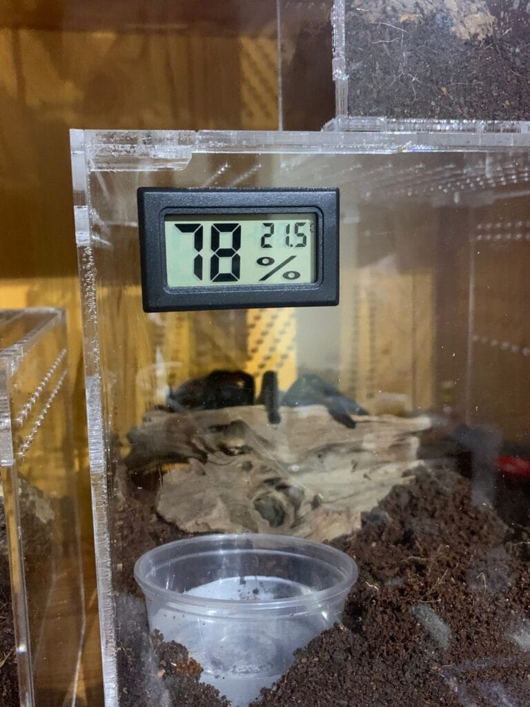 Gauge Temperature and Humidity Monitor